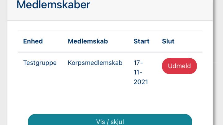 Skærmklip